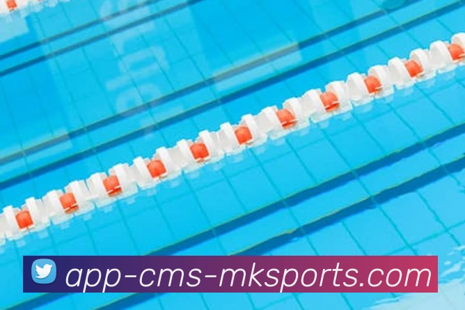 MK体育APP平台生态图