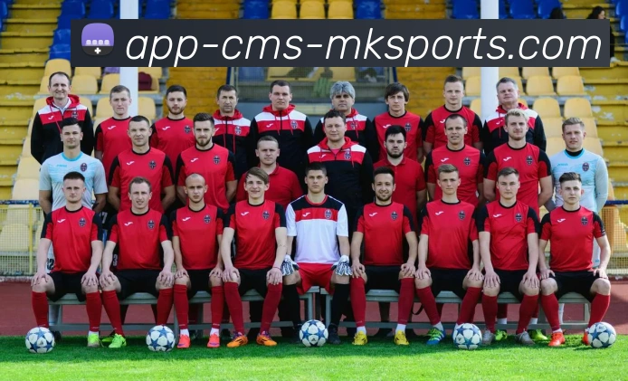 MK体育APPAPP 封面图